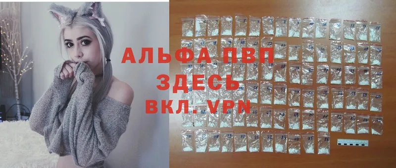 A-PVP СК  darknet Telegram  Полярный 